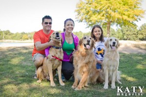 Angie Pierce and her family take pride in volunteering with and fostering rescues for Golden Beginnings Golden Retriever Rescue
