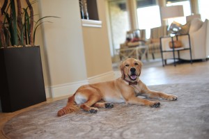 KM_Oct Nov_15_Hub, Cane Island - Shanna Dee Photography (14)_by Shanna Kenney
