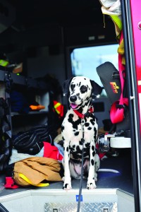 Katy’s main roles with the Katy Fire Department are raising fire safety awareness and city publicity