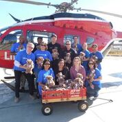 memorial hermann