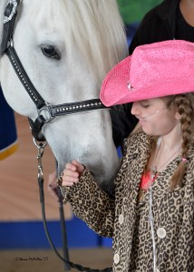 horse2