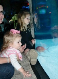 4-15 blog aquarium