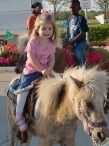 4-2 blog avery horse
