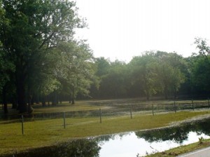 5-18 standing water