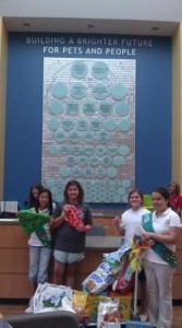 girlscouts3