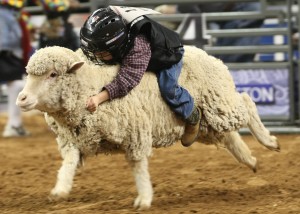 Fun at the Houston Rodeo